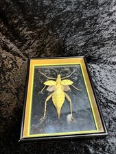 giant frame picture wood for sale  Byron