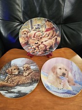 Golden retriever decorative for sale  Bellmore