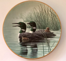 Keeping safe loon for sale  Tampa