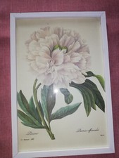 blumenbilder kunst gebraucht kaufen blumenbilder kunst gebraucht kaufen Leipzig