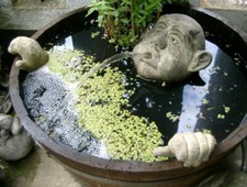 Steinfigur garten wasserspeier gebraucht kaufen  Korschenbroich