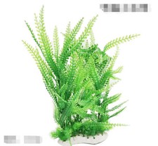 Plantes aquarium plantes d'occasion  France