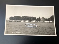Blue anchor beeches for sale  SHREWSBURY