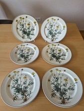 boch botanica gebraucht kaufen boch botanica gebraucht kaufen Ennepetal