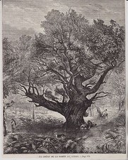 1858 chene forest d'occasion  Expédié en Belgium