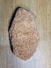 Theropod dinosaur bone for sale  SOLIHULL
