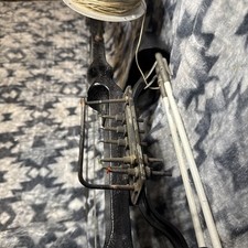 Bear white tail for sale  Gaithersburg