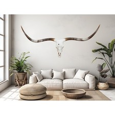 Longhorn steer skull for sale  San Antonio