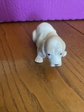 Sad beagle puppy for sale  SOUTHEND-ON-SEA