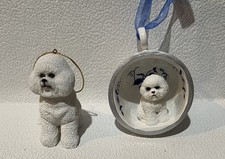 White bichon frise for sale  San Leandro