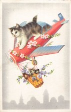 Illustrated small cat d'occasion  Expédié en Belgium