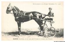 Abrp6 0522 horse d'occasion  Expédié en Belgium
