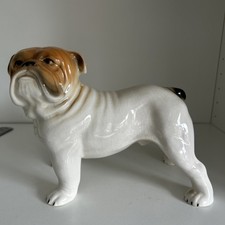 english bulldog for sale english bulldog for sale BIRMINGHAM