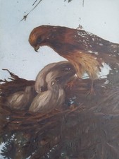 Peinture verre femelle d'occasion  Reims