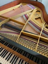 Sensationeller schimmel renner gebraucht kaufen  Wittstock/Dosse