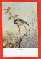 Rspb birds blue for sale  DORCHESTER