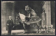 Circus fairground lion for sale  MALVERN