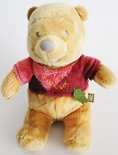 Disney winnie the gebraucht kaufen  Ruppichteroth