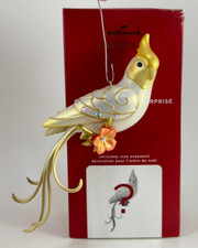 2020 beauty birds for sale  Leola
