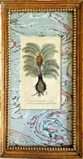 19th century hand for sale  Los Angeles