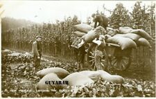 Hop picking. loading for sale  SMETHWICK