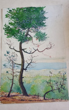 Aquarelle papier félix d'occasion  Galgon