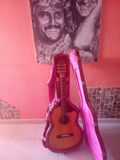 Chitarra semiacustica chat usato  Campagna