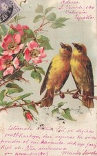 Illustrated birds branches d'occasion  Expédié en Belgium