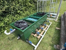 Kockney koi 20000 for sale  CAMBRIDGE