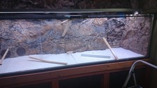 Großes aquarium 200x gebraucht kaufen  Dresden
