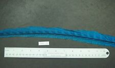 Turquoise dyed reeves for sale  Minden