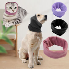 Pet dog cat for sale  HATFIELD