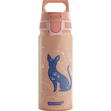 Sigg small dino usato  Roccagloriosa