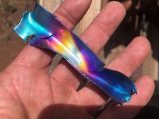 Multi color blackbird for sale  Flagstaff
