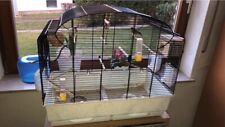 Vogelkäfig gebraucht zubehör gebraucht kaufen  Dreisen
