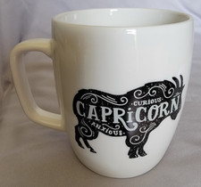 Threshold capricorn 16oz for sale  Chesapeake