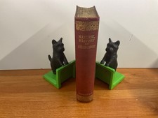 Natural history antiquities for sale  NEWTON ABBOT