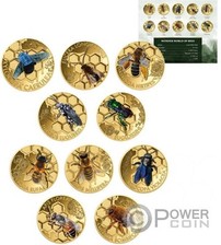 Bees wonder world usato  Ciampino