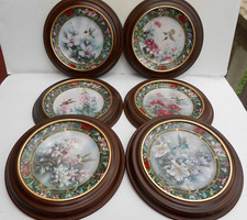 Lena liu hummingbird for sale  Burlington