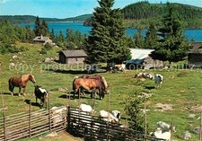 Dalarna fäboden weide gebraucht kaufen  Deutschland