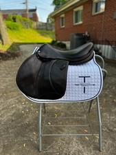 18.5 2013 voltaire for sale  Baltimore