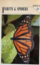 Wildlife fact file for sale  BASILDON