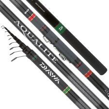 Novita canna bolognese usato  Mirandola
