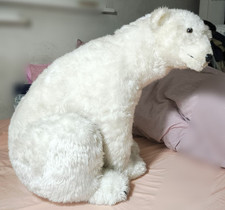 Orso polare seduto usato  Terni