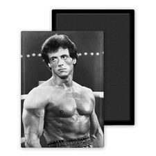 Stallone magnet frigo usato  Spedire a Italy