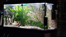 Aquarium 120 liter gebraucht kaufen  Essen