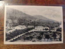 pazzaglia usato pazzaglia usato  Tortorella