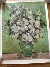 White roses vincent for sale  CAMBERLEY