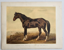 1876 antique horse for sale  GILLINGHAM