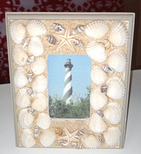 Sea shell picture for sale  Roanoke